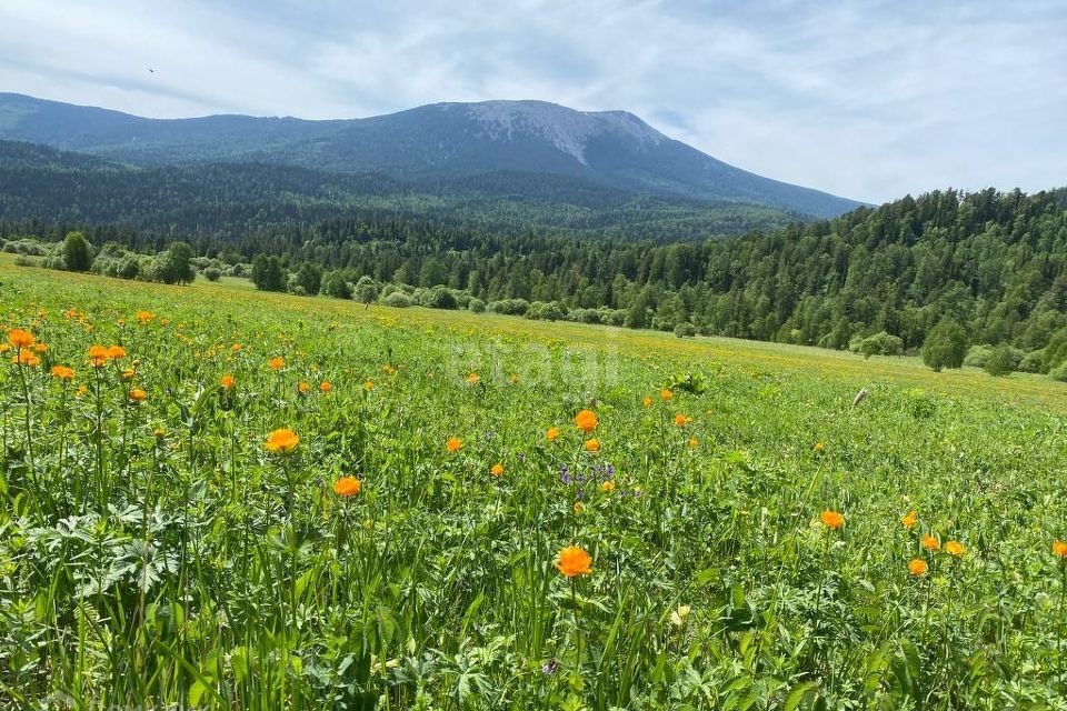 земля р-н Майминский с Урлу-Аспак ул Лесхозная фото 1