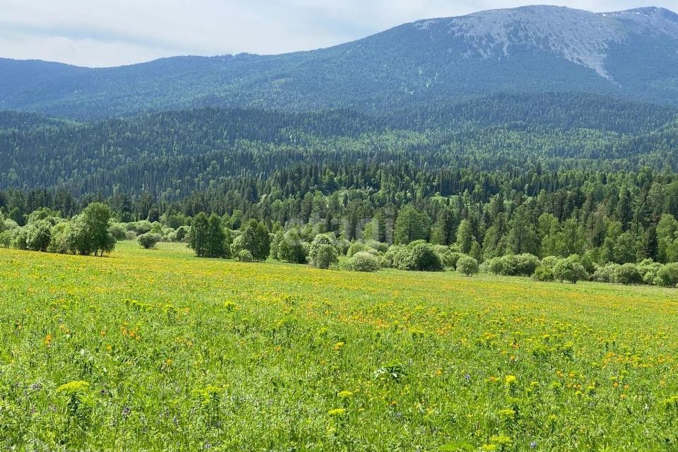 земля р-н Майминский с Урлу-Аспак ул Лесхозная фото 3