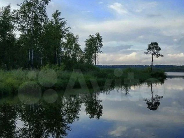 земля г Ярославль снт Дачное некоммерческое товарищество Заповедное озеро, Переславль-Залесский фото 33