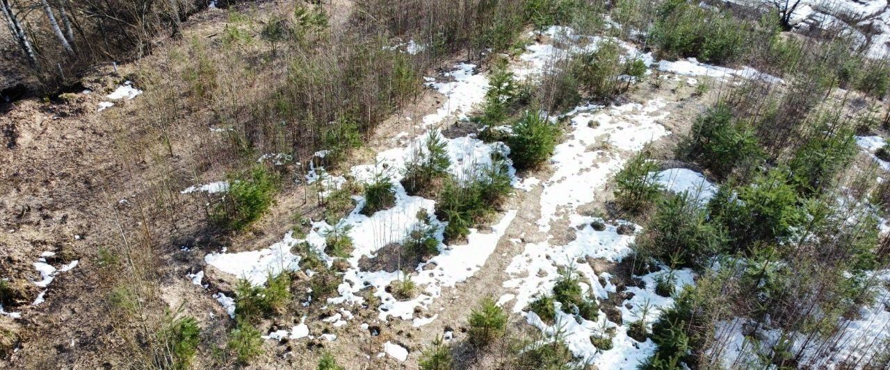 земля р-н Всеволожский д Кузьмолово ул Юбилейная 33 Кузьмоловское городское поселение, Девяткино фото 6