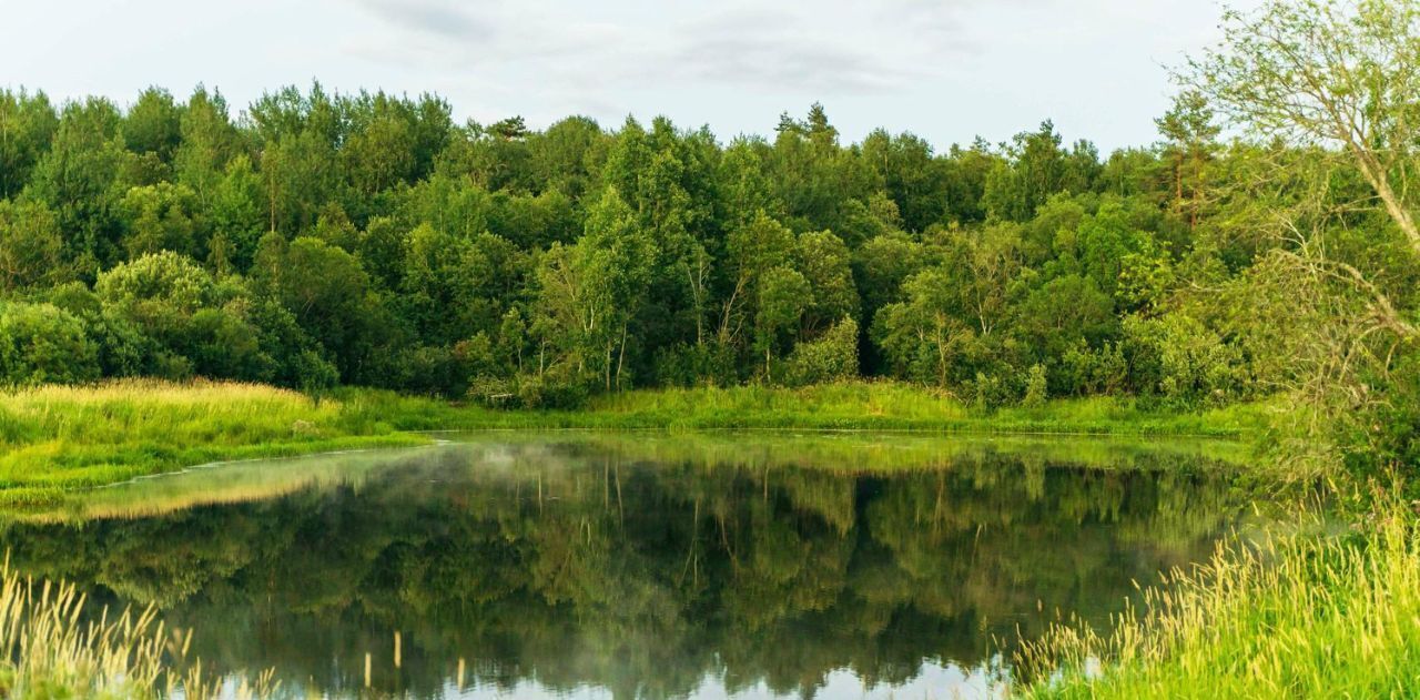 земля р-н Тосненский д Ладога Федоровское городское поселение фото 18