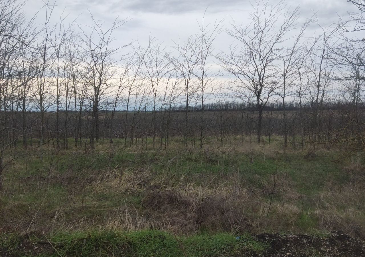 земля г Краснодар р-н Прикубанский М-4, обход Краснодара, дальний, западный фото 1
