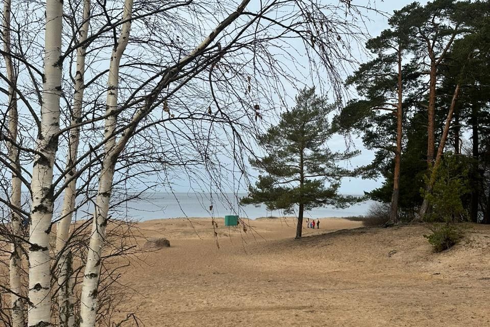 земля р-н Кировский п Дачное Сосновоборский городской округ, некоммерческое товарищество собственников недвижимости Приморский, Г 5 фото 4