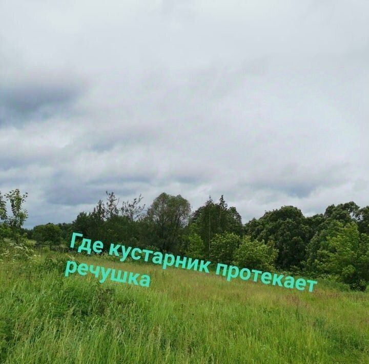 земля городской округ Коломенский с Макшеево Коломна городской округ фото 2