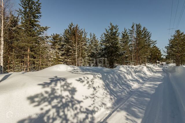 28, Сургутский район фото