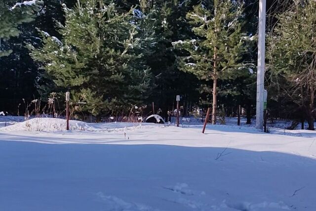 п Сосновка городской округ Чебоксары, садоводческое товарищество Сосновка фото