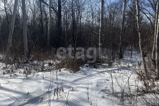 городской округ Комсомольск-на-Амуре, поселок Силинский фото