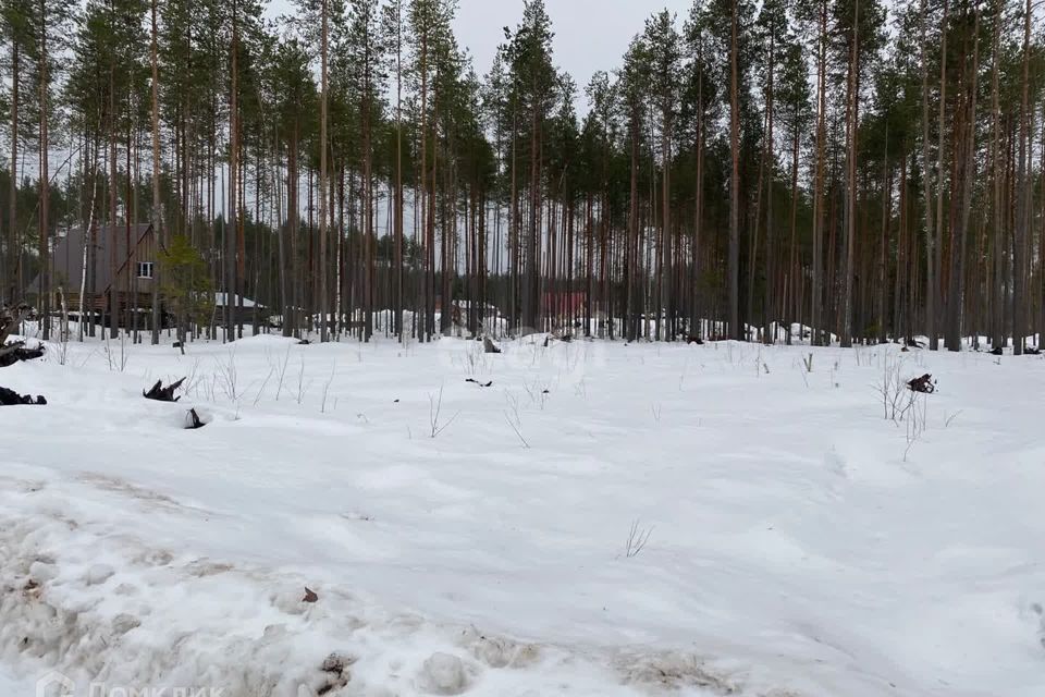 земля г Сыктывкар пгт Краснозатонский ул Линейная городской округ Сыктывкар фото 2