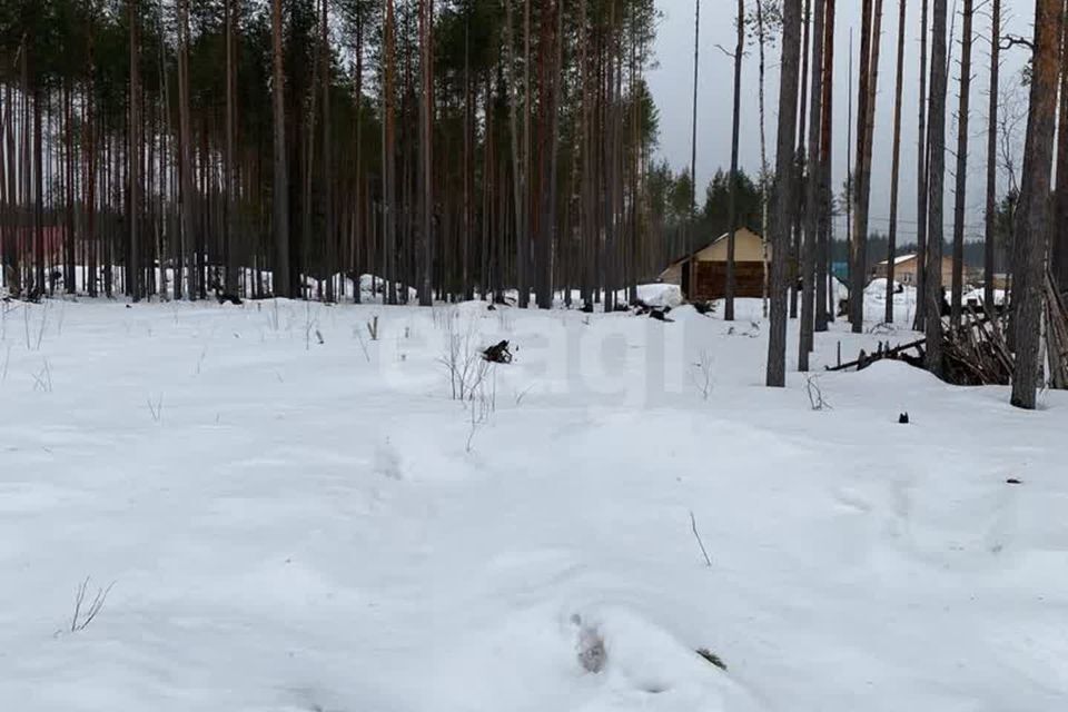 земля г Сыктывкар пгт Краснозатонский ул Линейная городской округ Сыктывкар фото 3