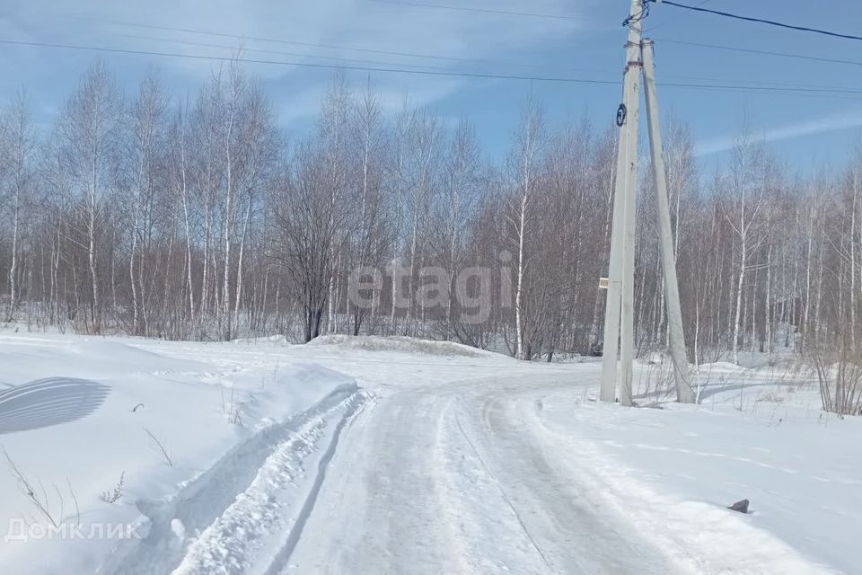 земля г Бердск городской округ Бердск, ТЛПХ Любавино фото 4