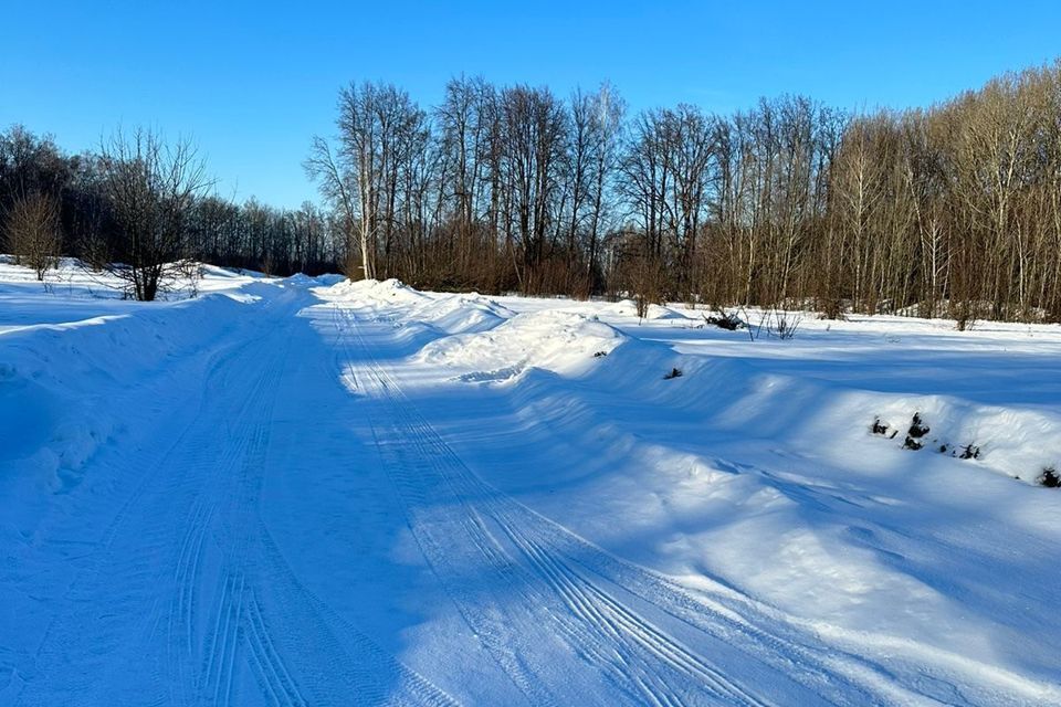 земля р-н Рыбновский село Горяйново фото 1