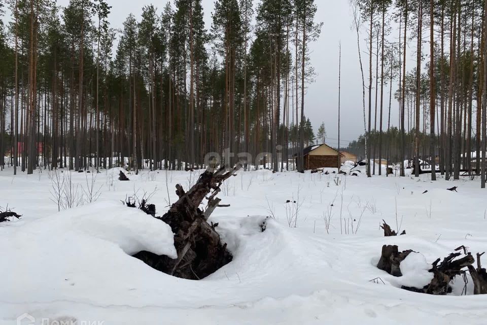 земля г Сыктывкар пгт Краснозатонский ул Линейная городской округ Сыктывкар фото 5