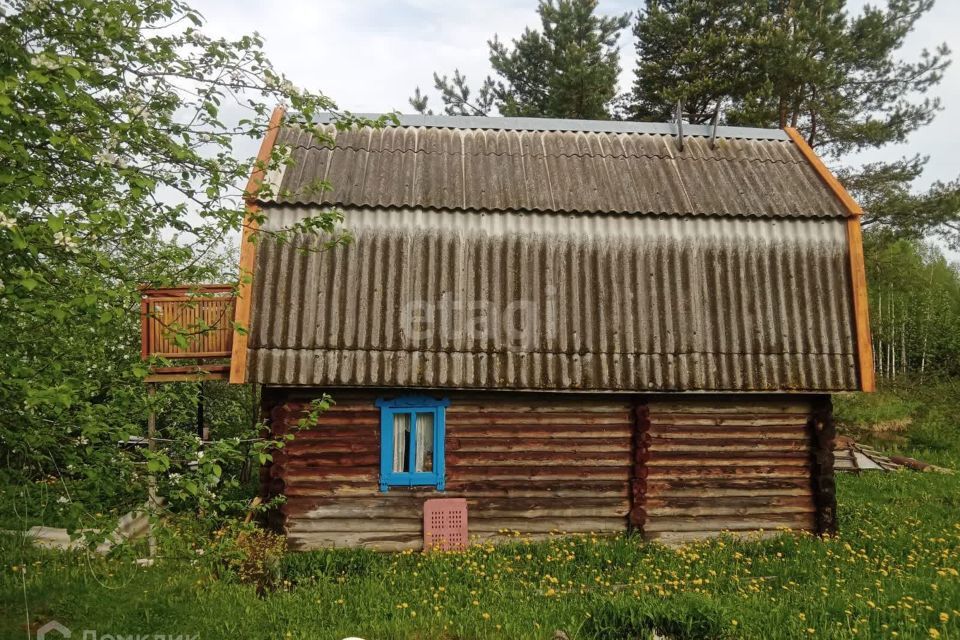 земля р-н Псковский деревня Толбица фото 2