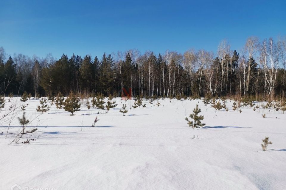 земля р-н Тюменский село Кулига фото 10