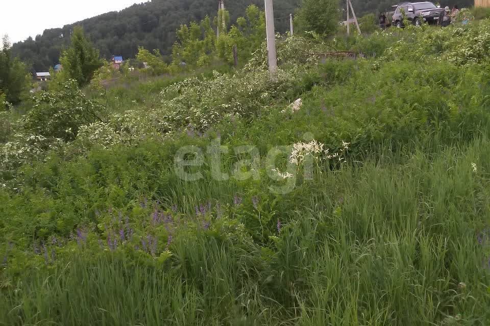 земля г Горно-Алтайск городской округ Горно-Алтайск, территориальное общественное самоуправление Посёлок Афганцев фото 3