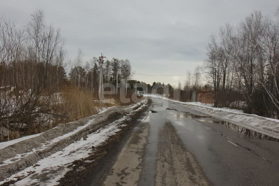 земля г Железногорск городской округ ЗАТО Железногорск, СНТ № 52 фото 6