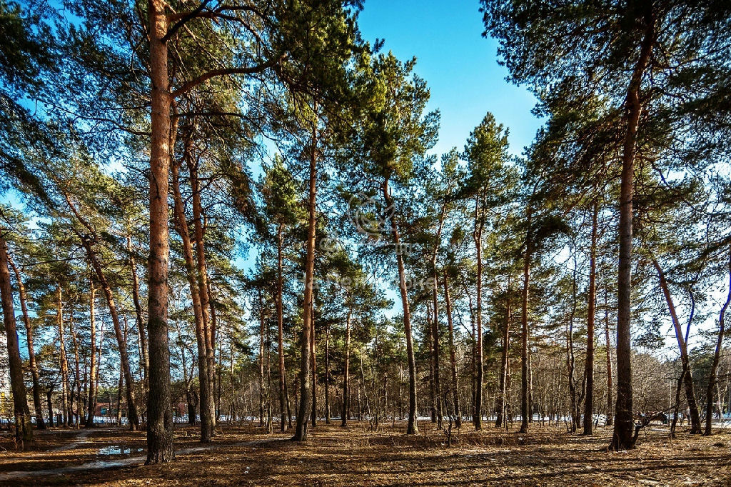 квартира г Балашиха мкр Салтыковка проезд Мирской 3 фото 30