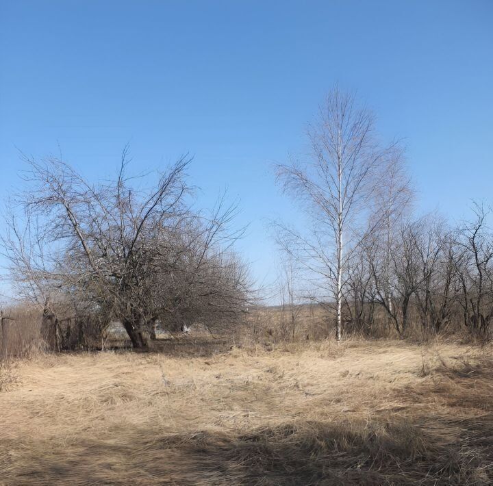 дом городской округ Коломенский с Макшеево 12, Коломна городской округ фото 4