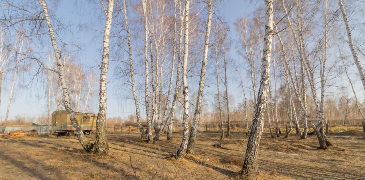 земля г Челябинск р-н Советский сад Жилищник фото 1