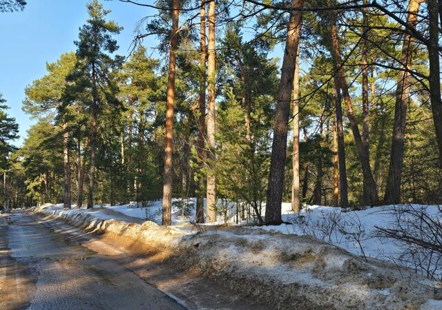 земля р-н Курортный ул Лесная фото