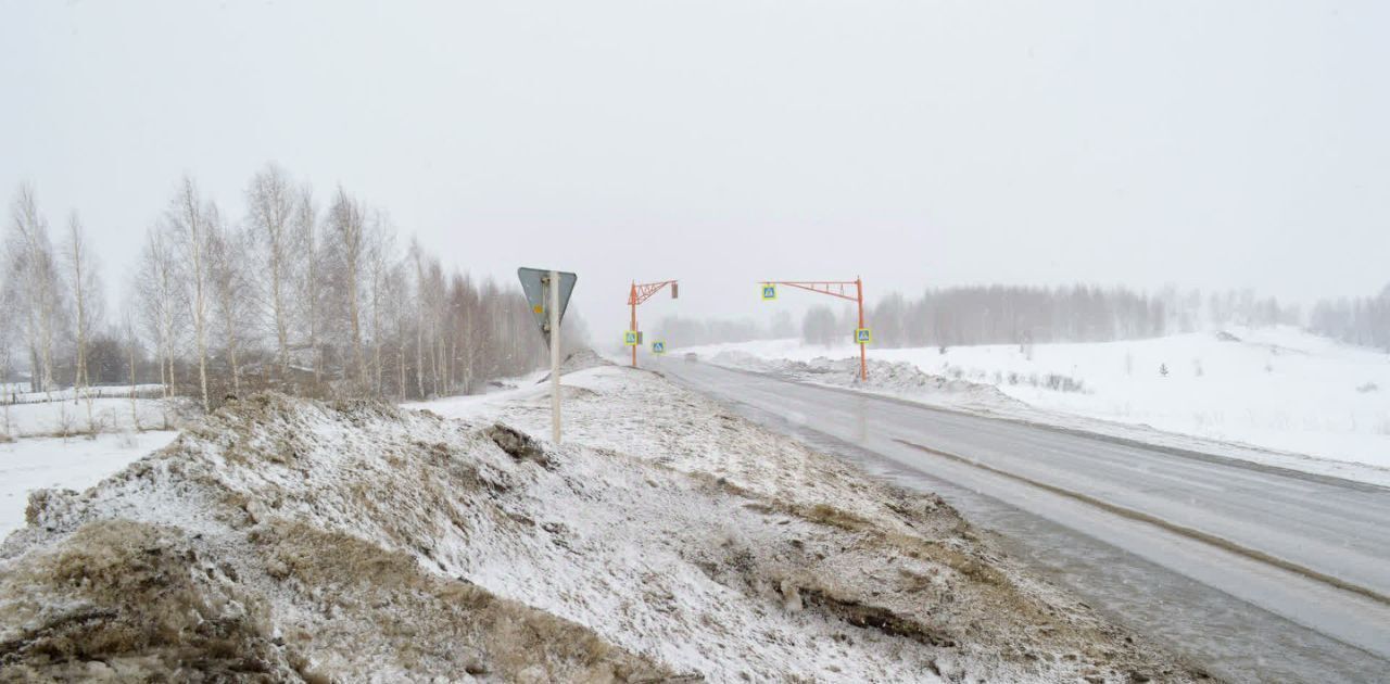 земля г Прокопьевск р-н Рудничный снт тер.Городское товарищество N 2 фото 6