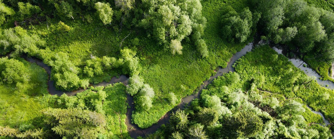 земля г Балашиха кв-л Изумрудный Дмитровский городской округ фото 9