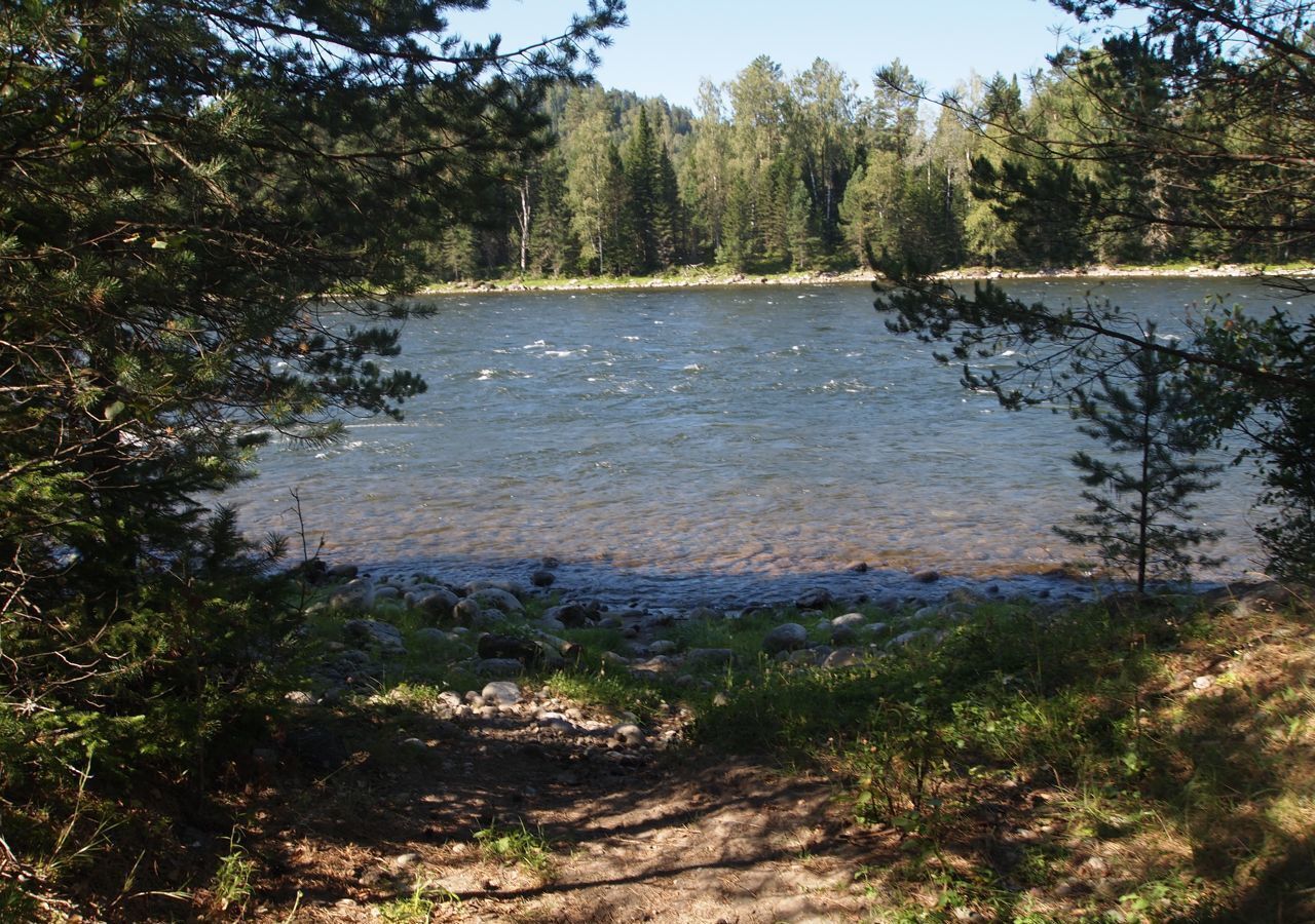 земля р-н Турочакский с Кебезень ул Береговая Турочак фото 25