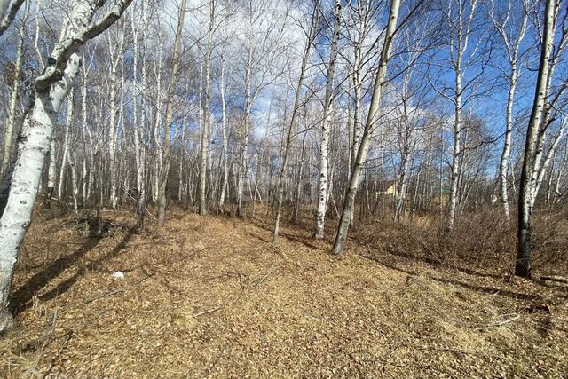 г Комсомольск-на-Амуре городской округ Комсомольск-на-Амуре, поселок Малая Хапсоль, 1 фото