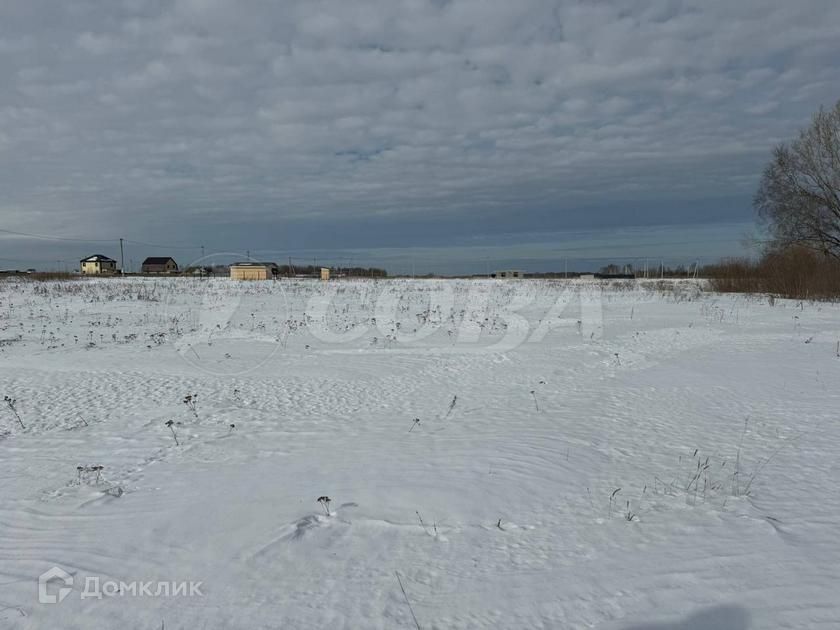 земля р-н Тюменский село Борки фото 1