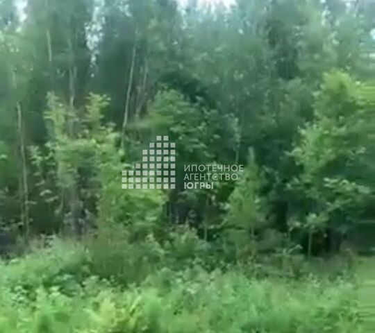 земля садово-огородническое товарищество Светлана, городской округ Ханты-Мансийск фото