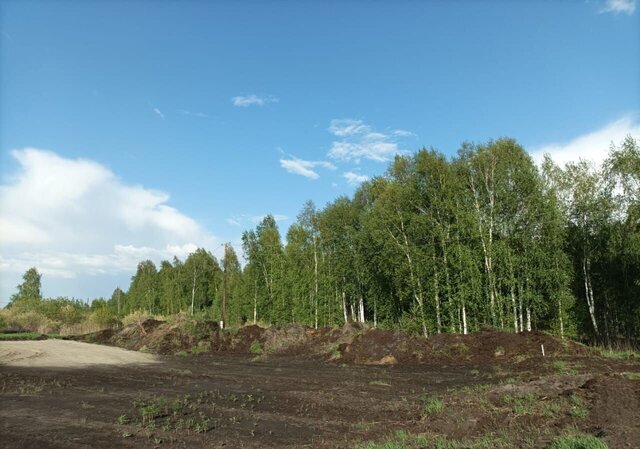 садоводческое товарищество Полиграфист, Нижнетавдинский р-н фото