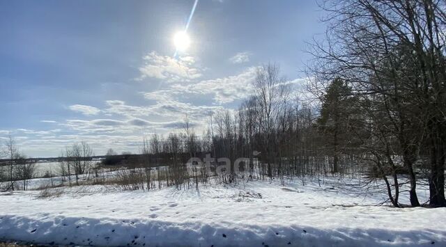 Березка Завода Красная Этна СНТ, 32 фото