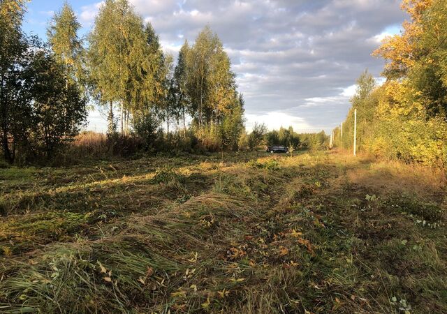 Гнёздовское сельское поселение, Смоленск фото