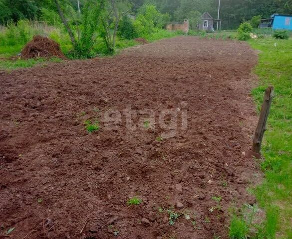 с Плодопитомник ул Дорожников 16 городской округ Благовещенск фото