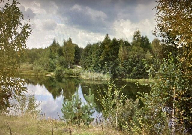 земля Нетьинское сельское поселение, ул. Арбат, Брянск фото