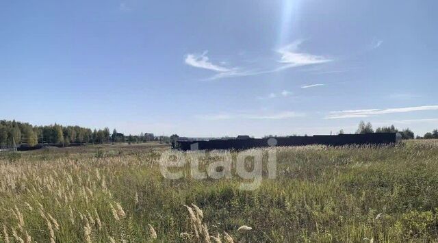 Бушевские поляны кп фото