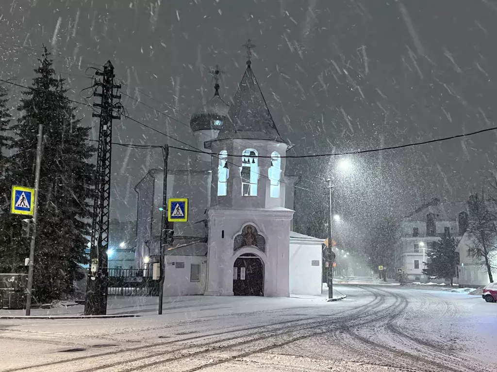 квартира г Псков ул Карла Маркса 41 фото 46