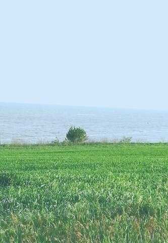 земля Платовское сельское поселение, Таганрог фото