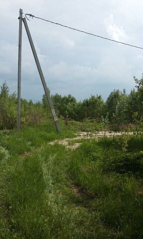 п Новоселки садовое товарищество Ягодное, Воскресенск фото