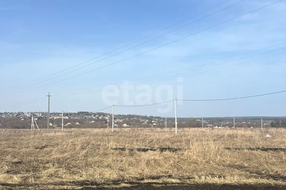 земля р-н Бессоновский с Бессоновка ул Центральная фото 1