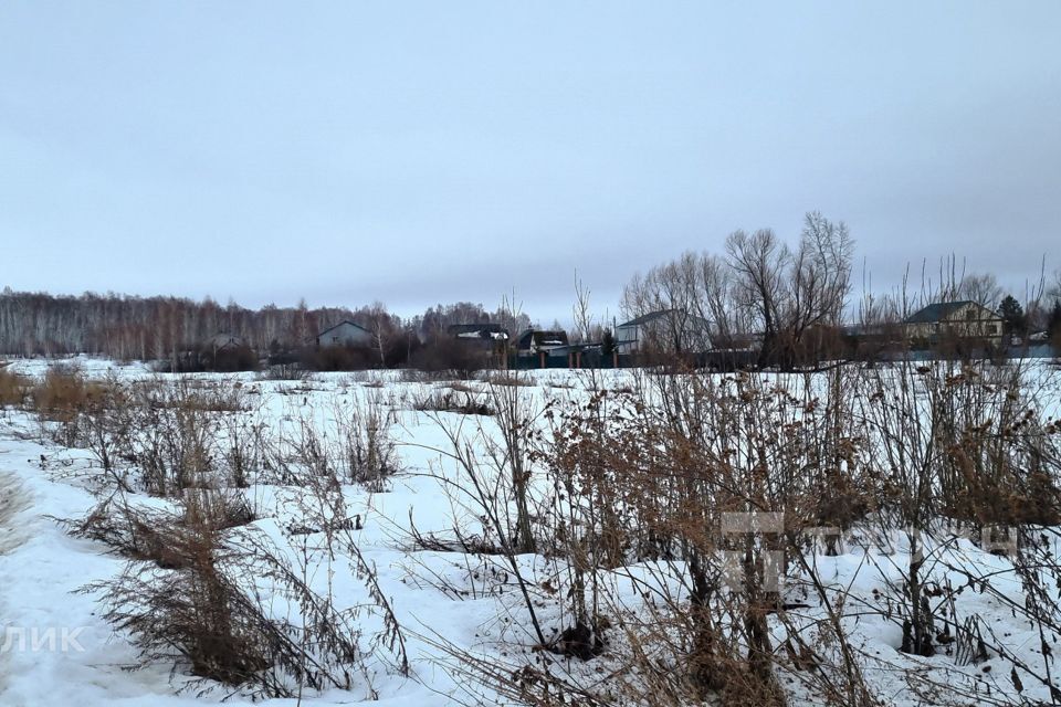 земля р-н Сосновский д Полетаево 2-е ул Лесная фото 2