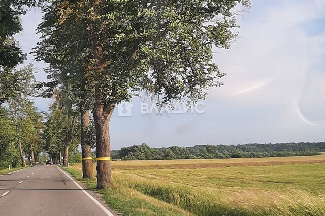 п Чехово ул Центральная фото