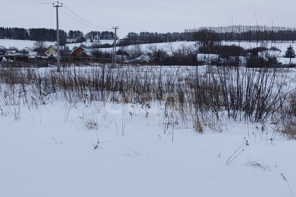 земля р-н Лямбирский село Татарская Свербейка фото 1