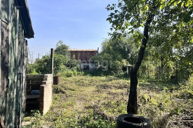 городской округ Калининград, СНТ Мелиоратор фото