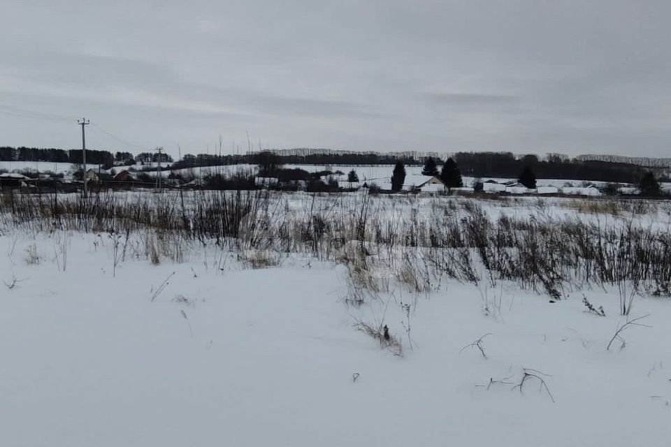 земля р-н Лямбирский село Татарская Свербейка фото 4