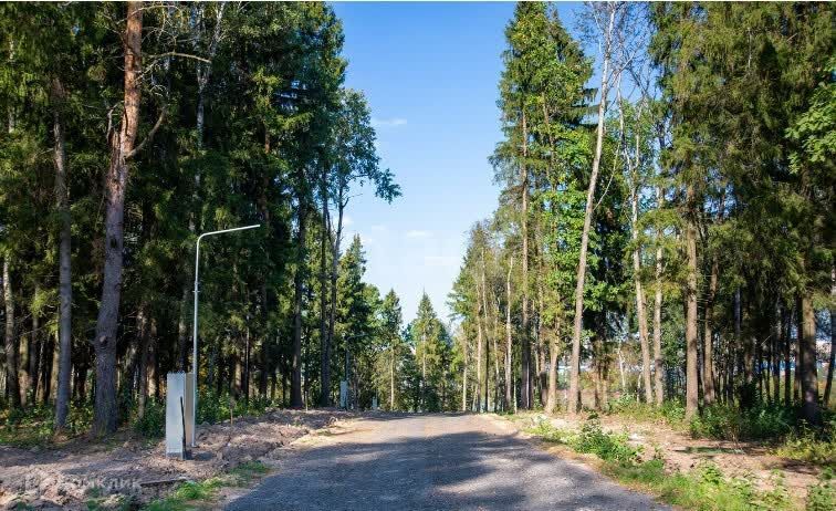 земля г Химки городской округ Химки, коттеджный посёлок Сходня Форест Парк фото 8