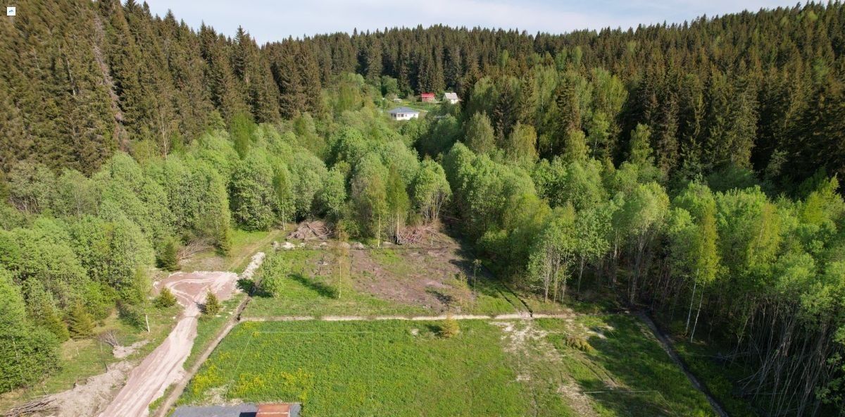 земля г Сортавала п Хюмпеля ул Центральная Сортавальское городское поселение фото 12