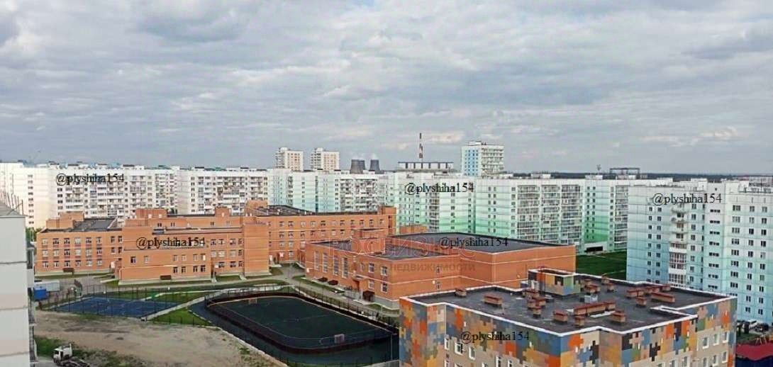 квартира г Новосибирск Золотая Нива ул Плющихинская 10 фото 17
