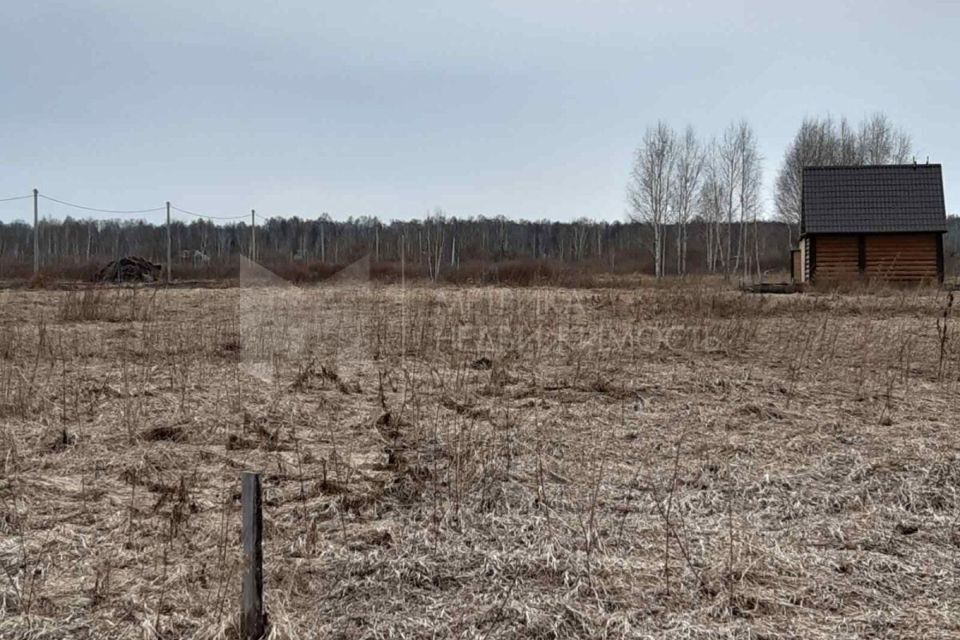 земля г Тюмень городской округ Тюмень, ДНТСН Зелёный Бор фото 1