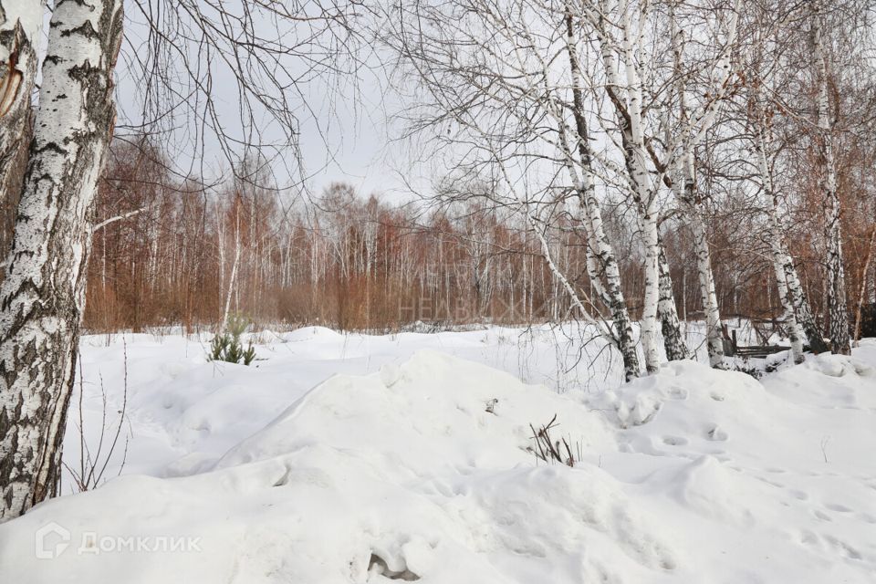 земля р-н Тюменский посёлок городского типа Боровский фото 3